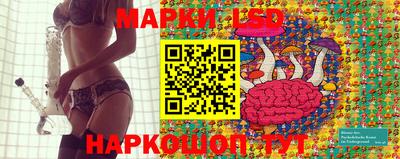 сатива Кандалакша
