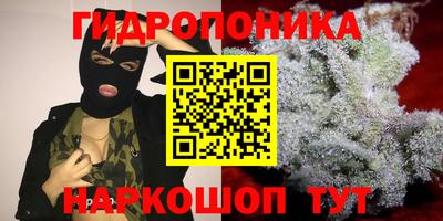 кокс Камышлов